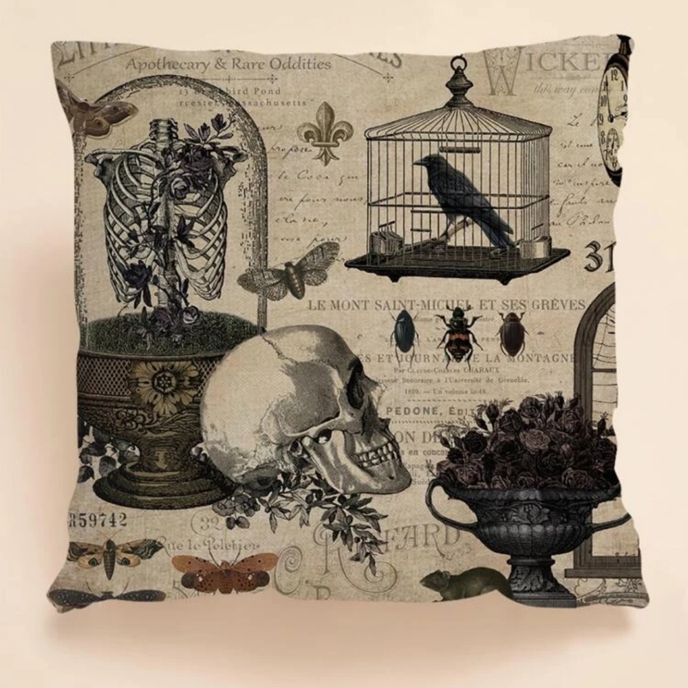 2/$10 NWOT Allan Poe style pillow case